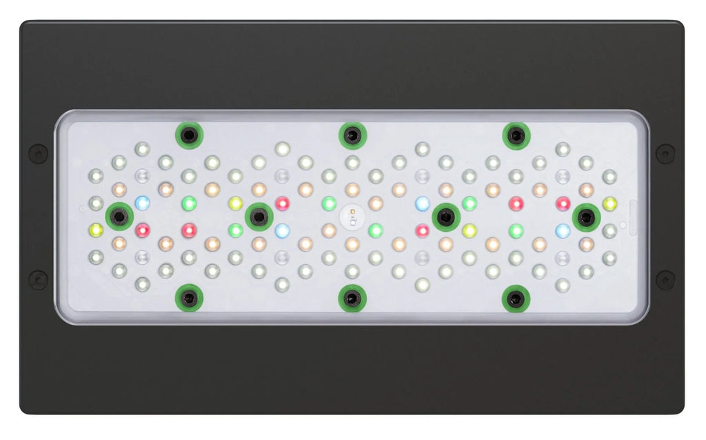 Radion XR30G5 - Freshwater